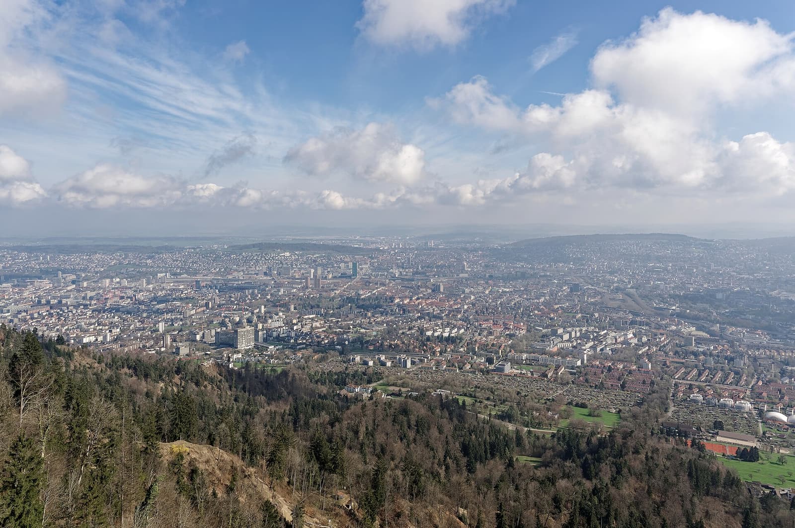 Zurich seen from the Uetliberg tower with wooded slopes in the foreground